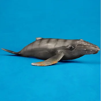 Малко Горбатый Кийт Симулация модел на Морски животни Sea Animal Детски подарък Развивающий подпори Фигурки